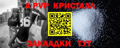 стафф Камышлов