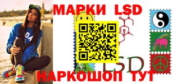 стафф Камышлов
