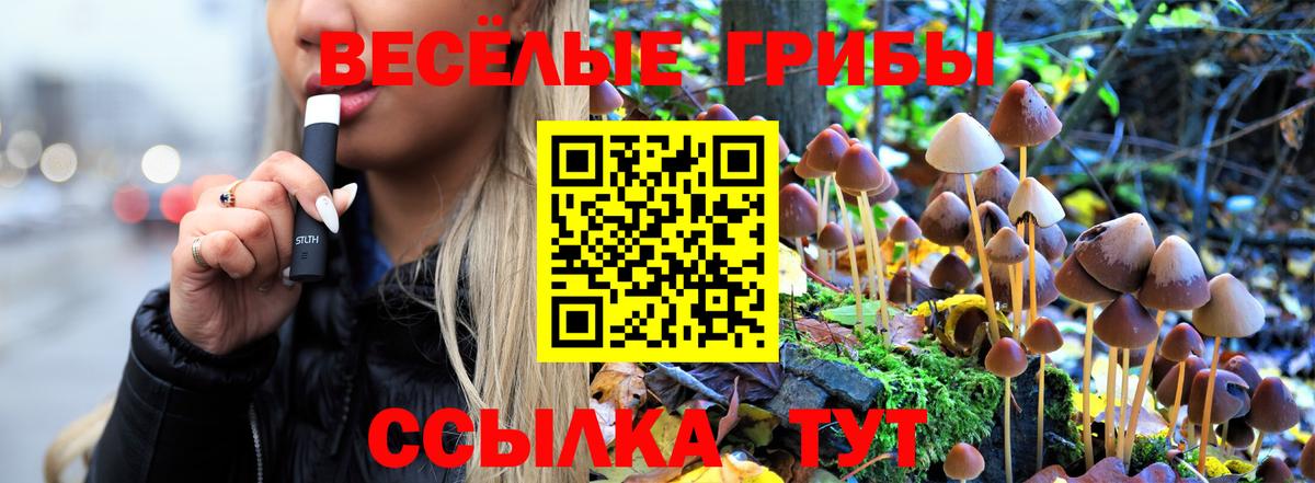 Зеленодольск  Галлюциногенные грибы Psilocybine cubensis  Вход с VPN 
